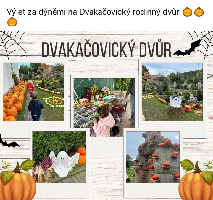 Výlety po okolí