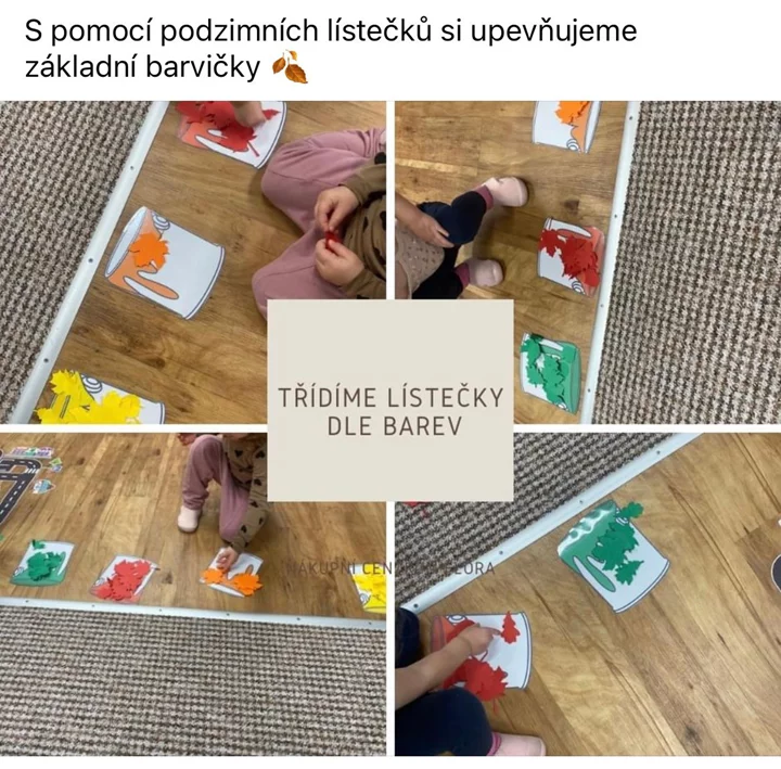 Společné tvoření